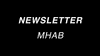 Newsletter Máster Habilitante