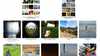 Acciones híbridas en el paisaje: entre arte y arquitectura