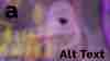 Alt Text #4 . MIRROR MIRROR MOW, por Inés Lamazares Fraile + Clara Majadas Matesanz + Ana Moure Rosendo